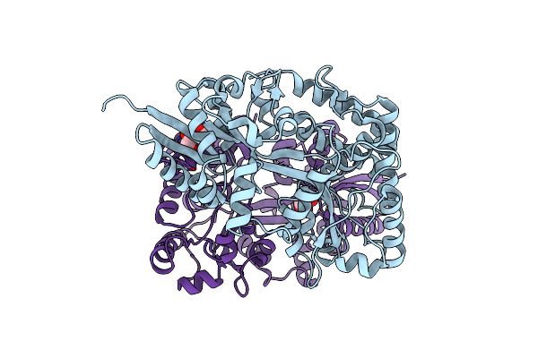 4JXI image