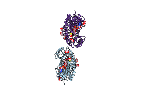 4JY2 image