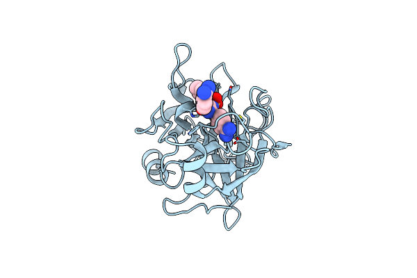 4JYT image