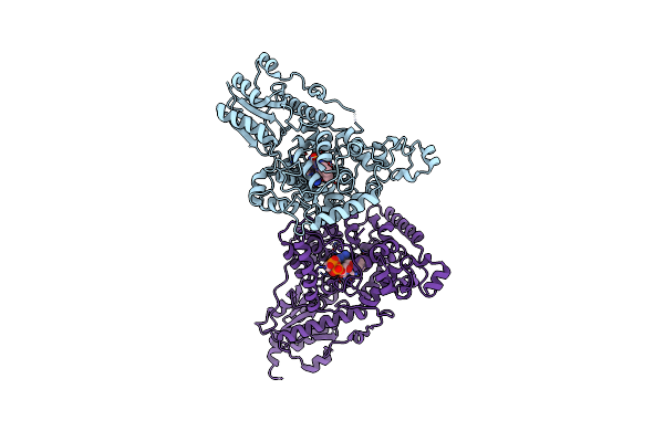 4K03 image
