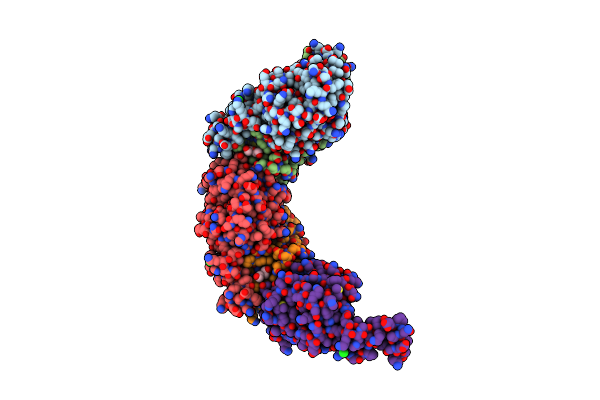4K1F image