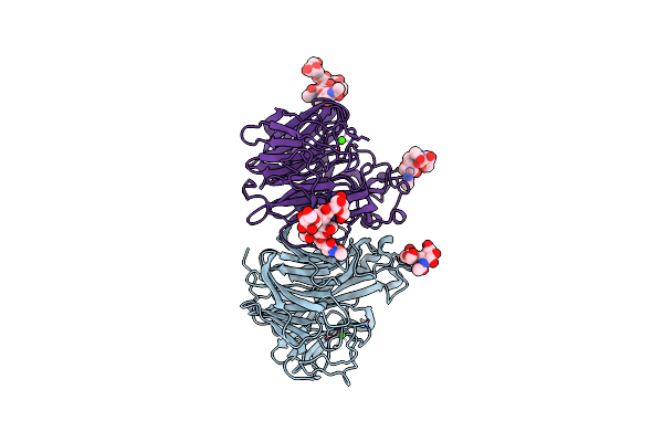 4K1H image