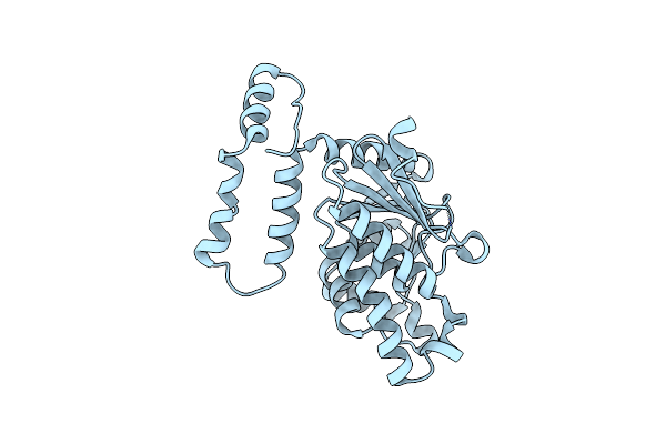 4K2N image