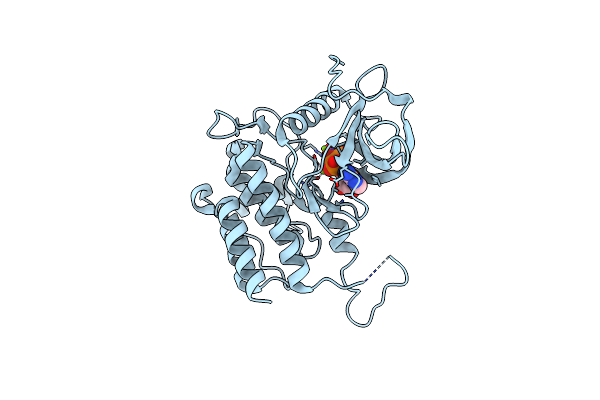4K33 image