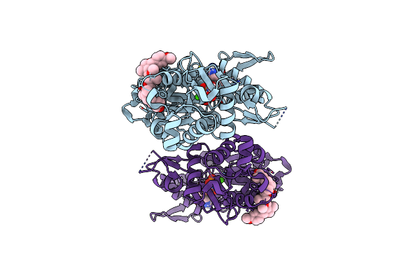 4K43 image