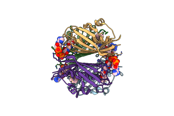 4K4C image