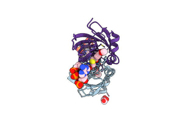 4K4D image