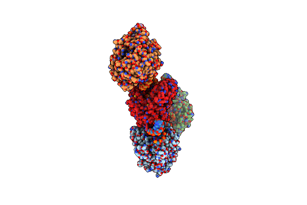 4K50 image