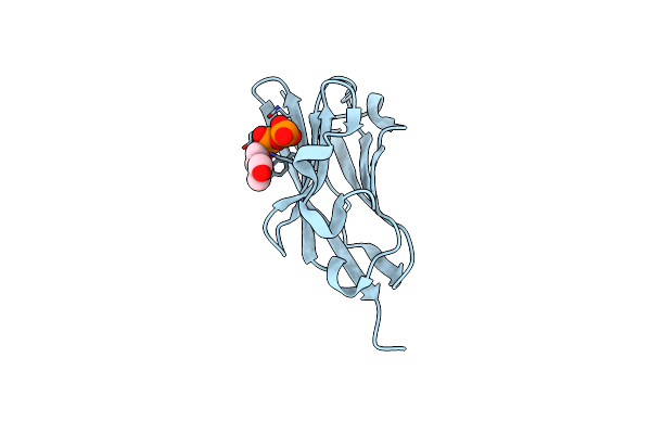 4K55 image
