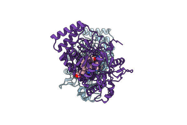 4K5F image