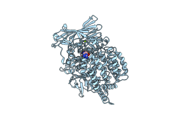 4K5L image