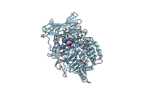 4K5M image