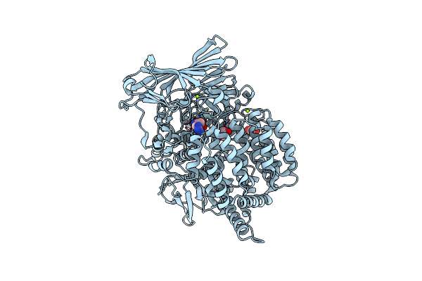 4K5N image