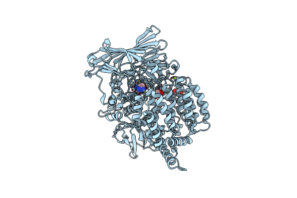 4K5P image