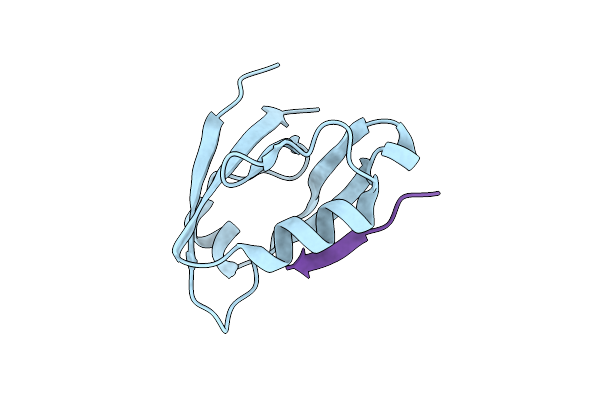 4K75 image