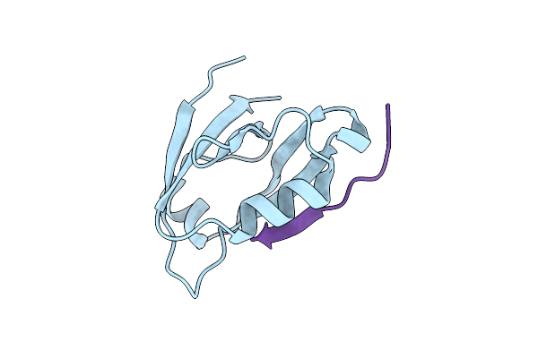4K78 image