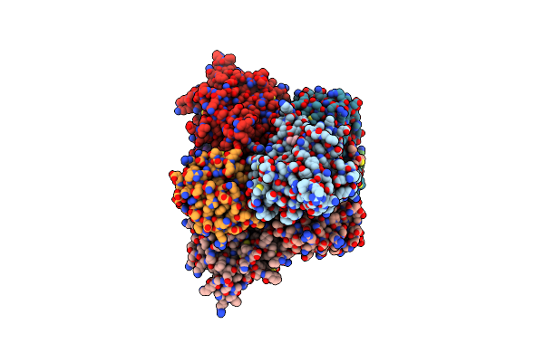 4K81 image