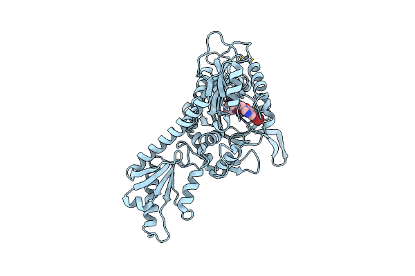 4K88 image