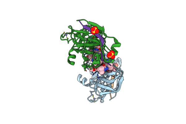 4K8B image