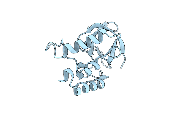 4K8I image