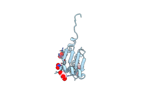 4K8M image