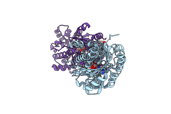 4K8P image