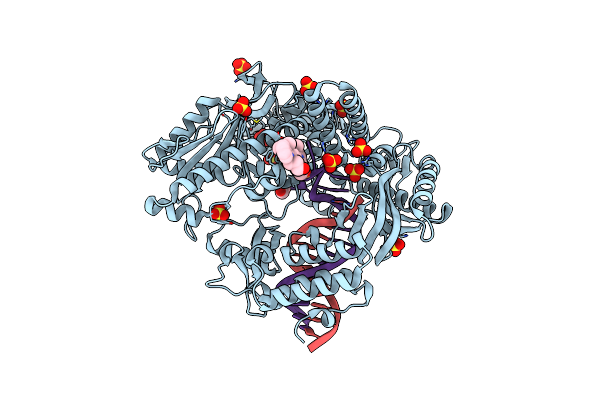 4K8X image