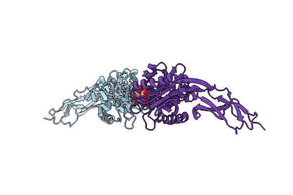 4K91 image