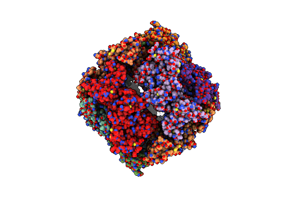 4K95 image