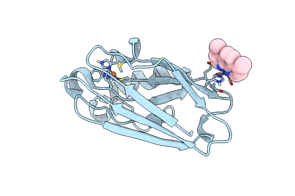 4K9J image
