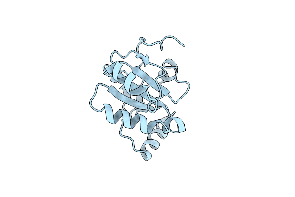 4K9Z image