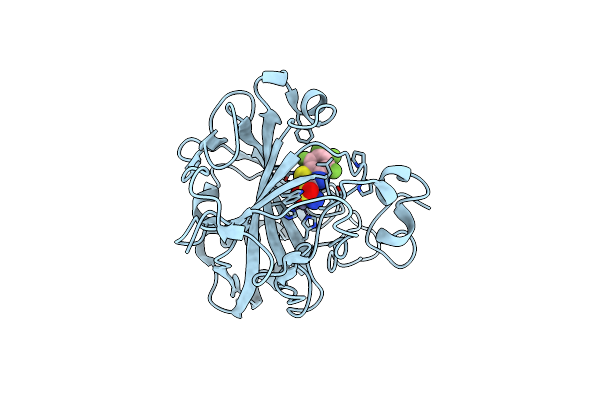 4KAP image