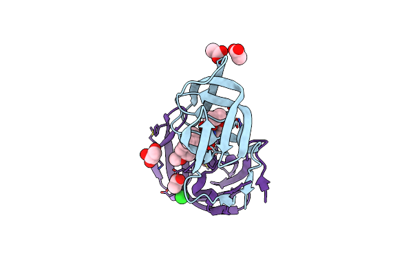 4KB9 image