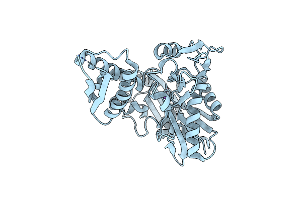 4KBO image