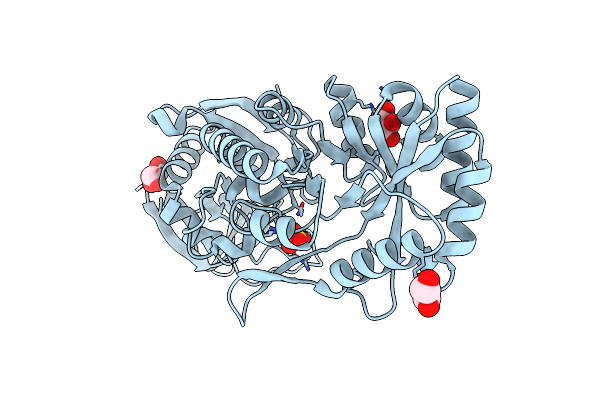 4KBX image