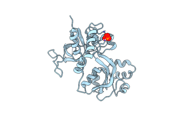 4KCC image