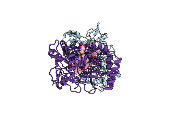 4KCR image