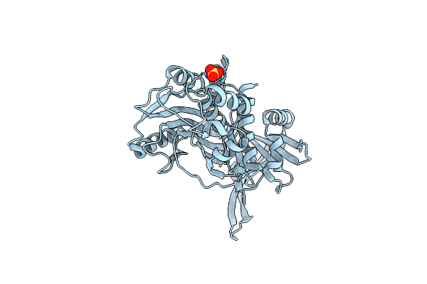 4KDS image
