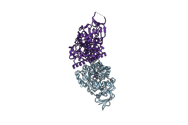 4KIR image