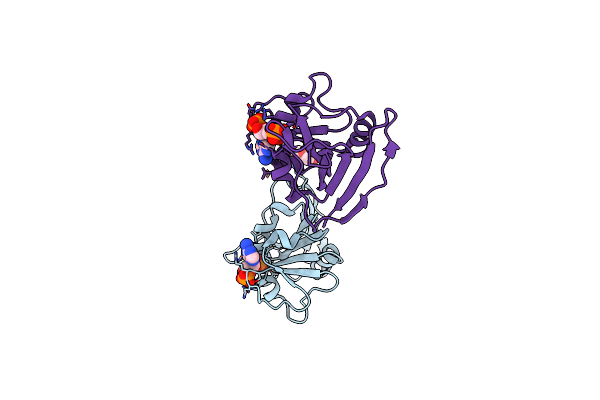 4KLX image