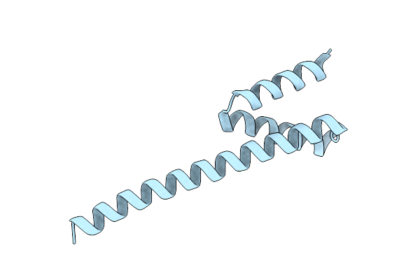 4KMC image