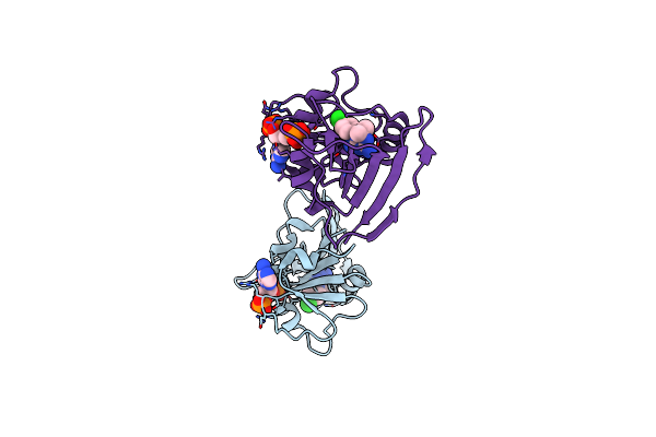 4KNE image