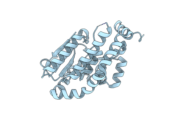 4KNP image