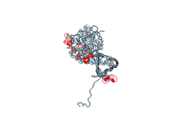 4KNR image