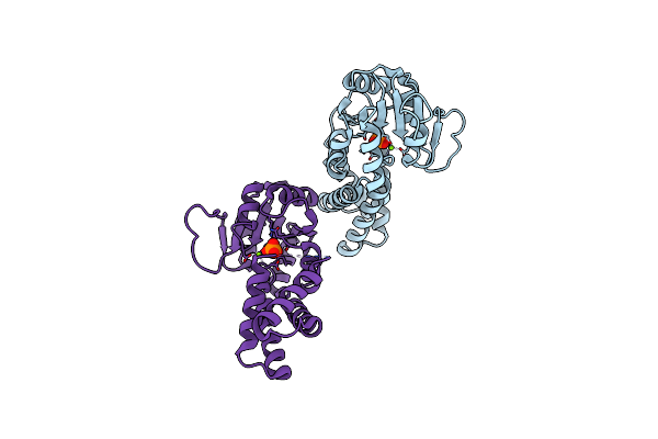 4KNV image