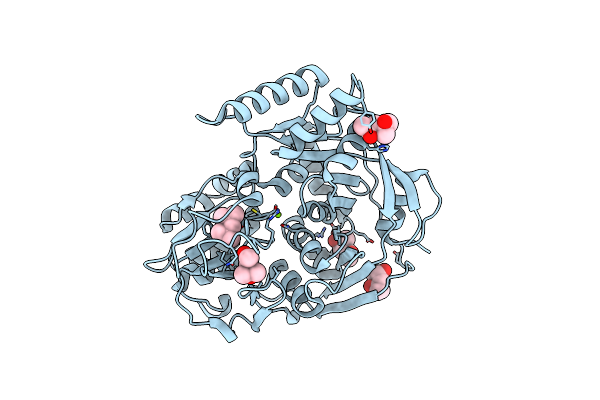 4KP1 image