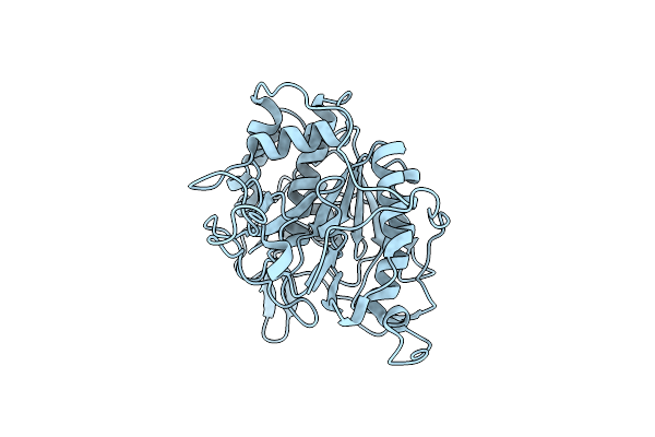 4KPG image