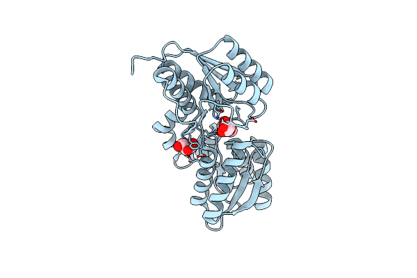 4KQ9 image