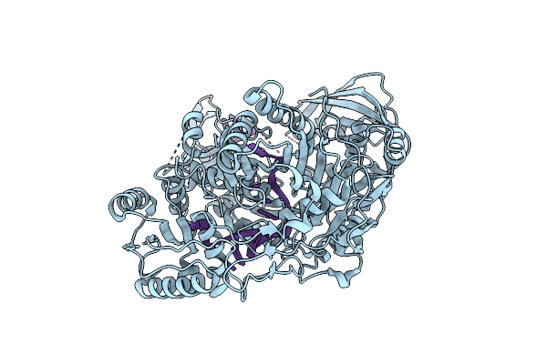 4KRF image