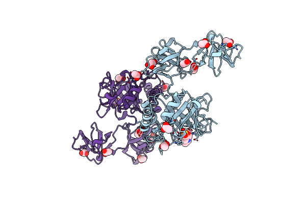 4KRT image